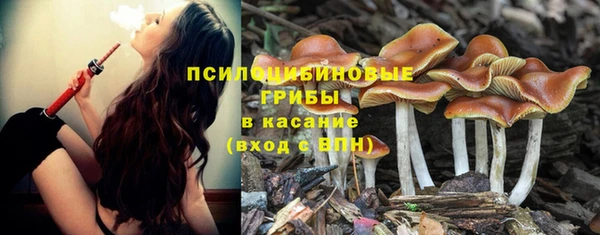 ALPHA PVP Михайловск