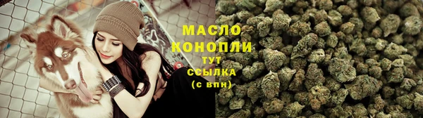 сатива Кострома
