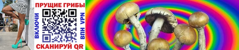 Псилоцибиновые грибы ЛСД Златоуст